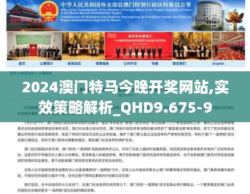 2025年香港和澳门今晚特码,实证释义解释落实