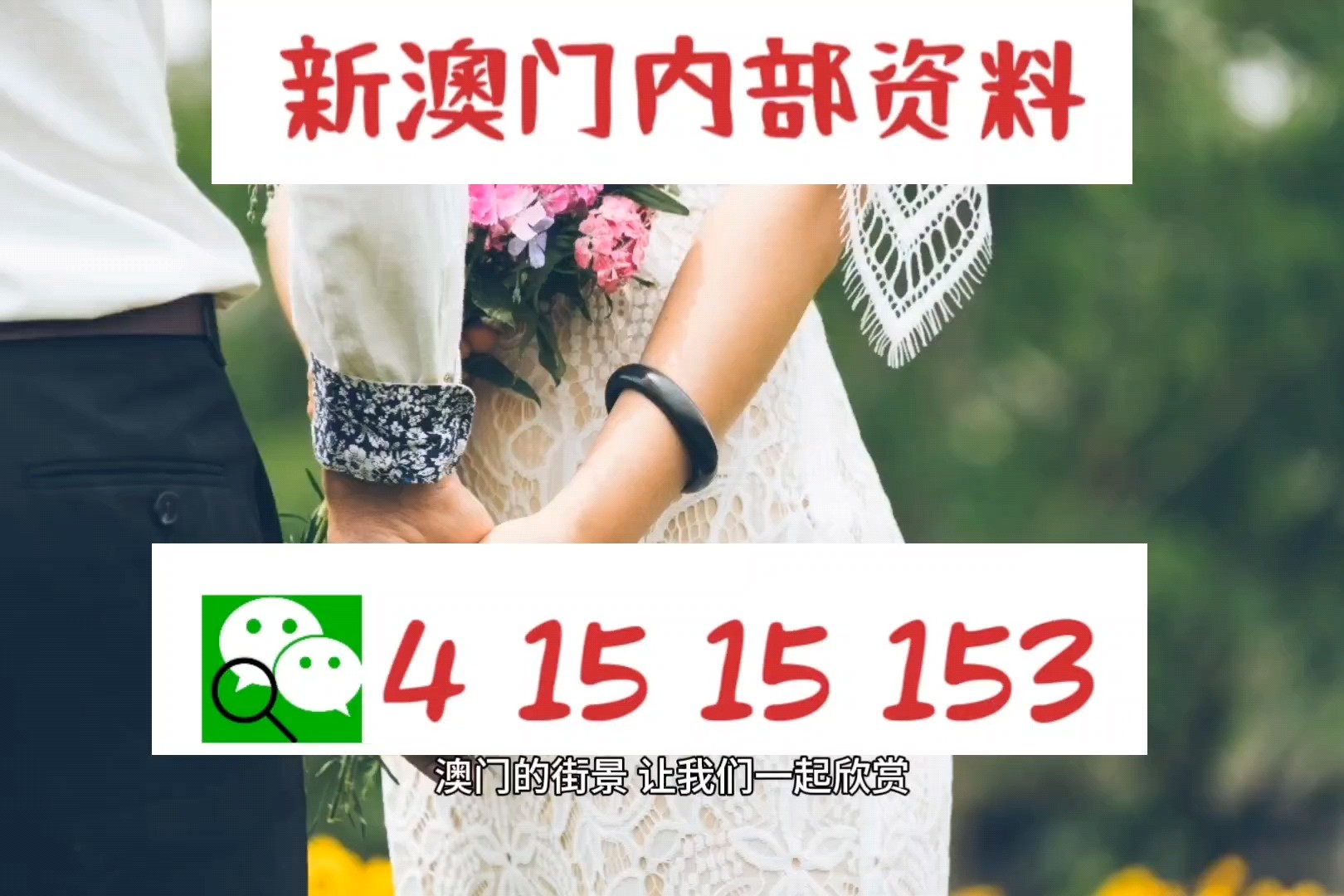 2025澳门今晚必开一肖,全面释义、解释与落实