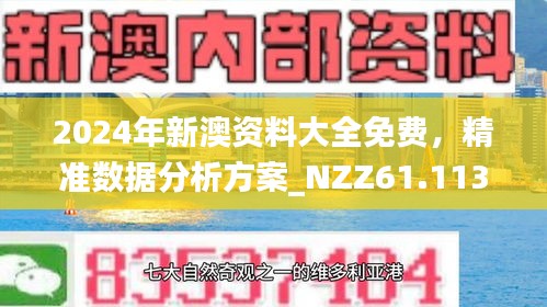 2025新澳精准正版免費資料,实证释义解释落实
